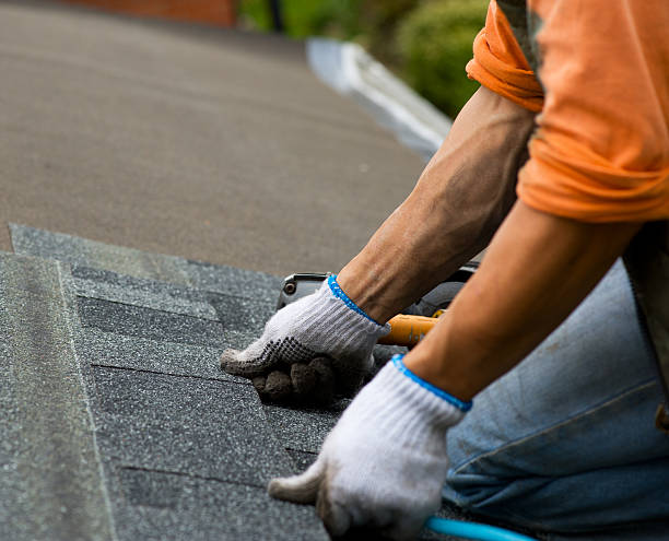 Best Storm Damage Roof Repair  in Hebron, OH